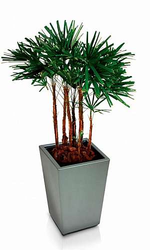 Floreira de Madeira  Floreira de Madeira